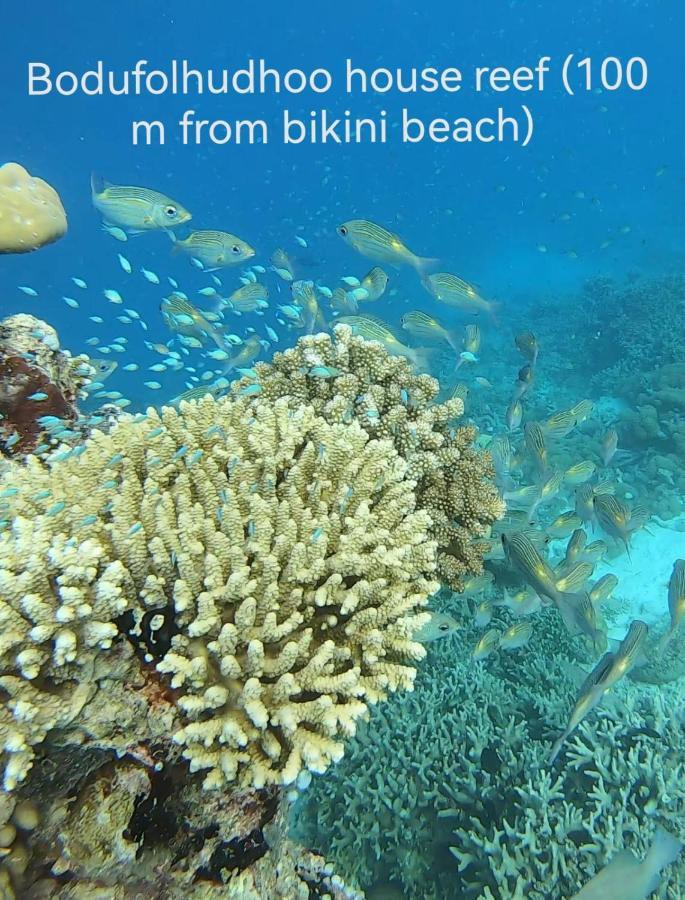 Surfretreat Otel Bodufolhudhoo Dış mekan fotoğraf