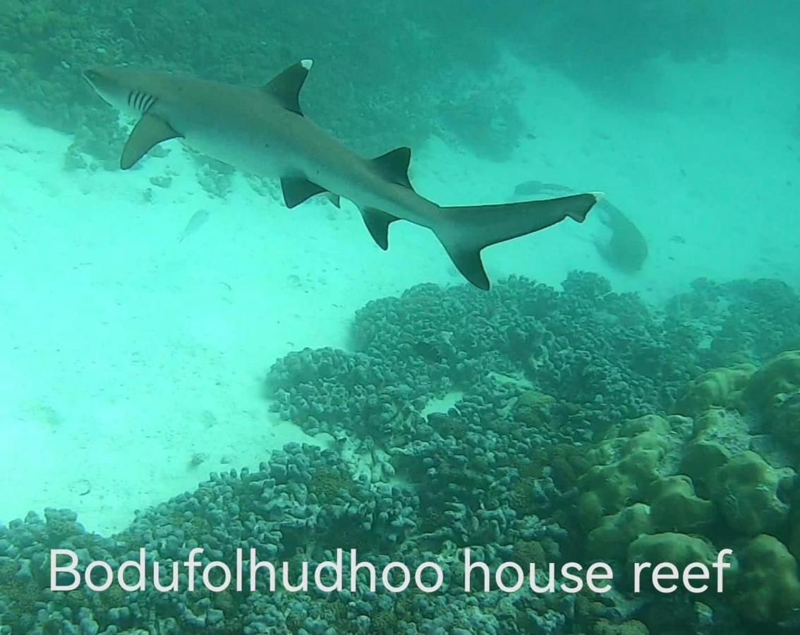 Surfretreat Otel Bodufolhudhoo Dış mekan fotoğraf