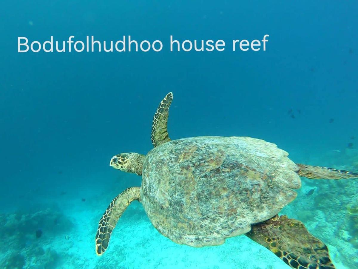 Surfretreat Otel Bodufolhudhoo Dış mekan fotoğraf