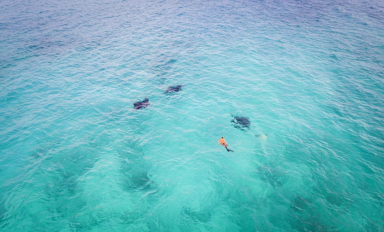 Surfretreat Otel Bodufolhudhoo Dış mekan fotoğraf