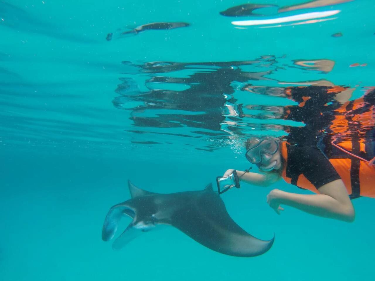 Surfretreat Otel Bodufolhudhoo Dış mekan fotoğraf